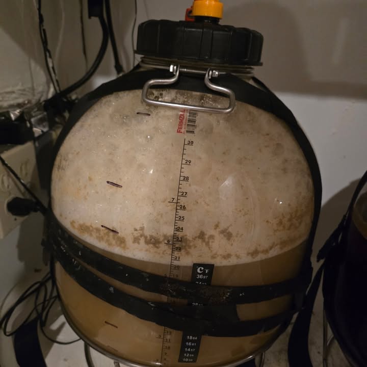 BT Beer Projects