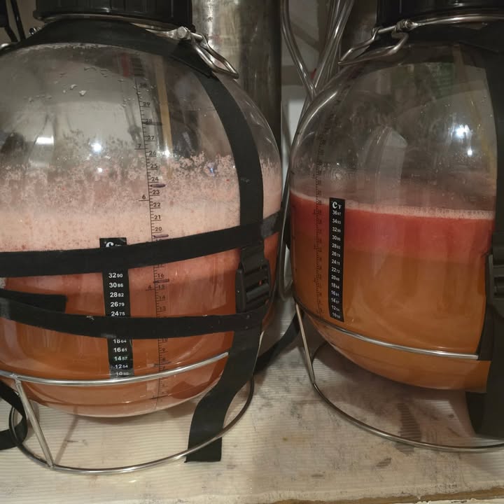 BT Beer Projects