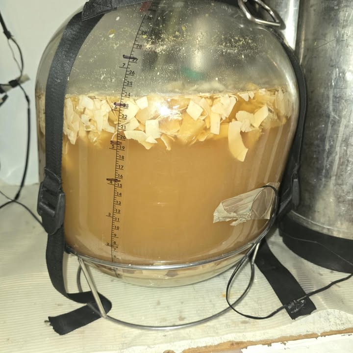 BT Beer Projects