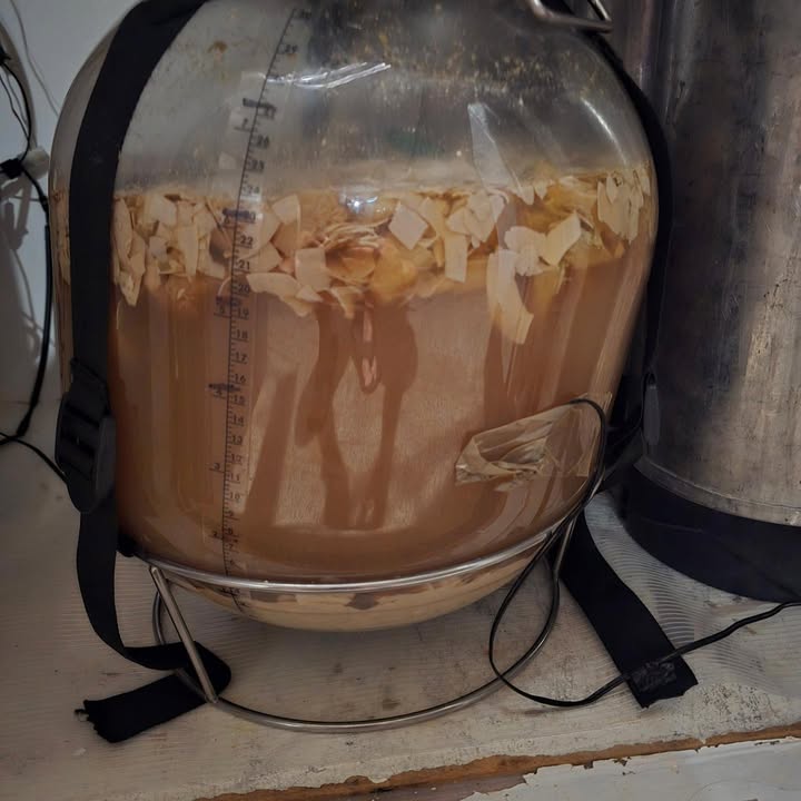 BT Beer Projects