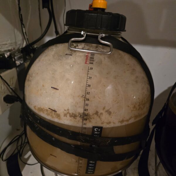 Almost did a PRV test. My spunding valve was not connected right and wasn't letting…